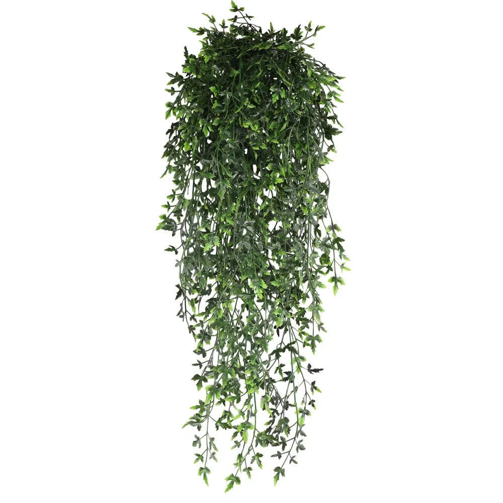 Persian Fern Leaf Vines