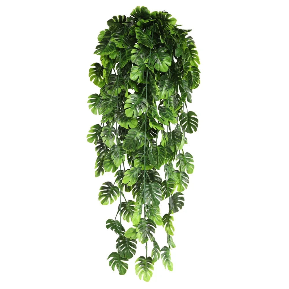 Persian Fern Leaf Vines