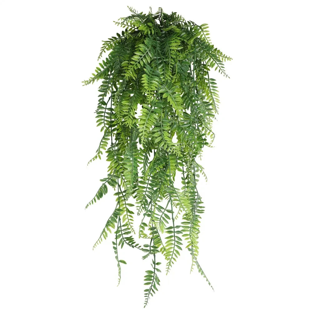 Persian Fern Leaf Vines