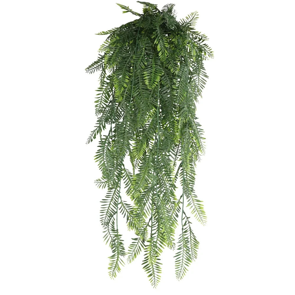 Persian Fern Leaf Vines