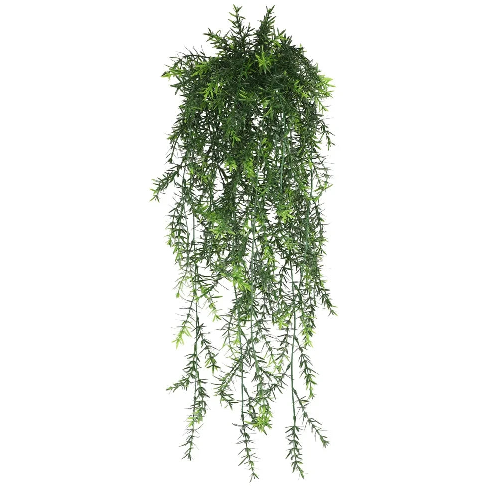 Persian Fern Leaf Vines